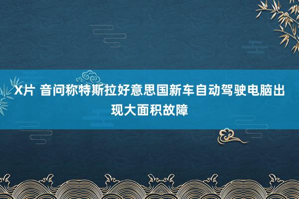 X片 音问称特斯拉好意思国新车自动驾驶电脑出现大面积故障