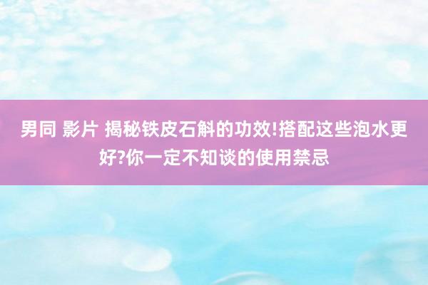 男同 影片 揭秘铁皮石斛的功效!搭配这些泡水更好?你一定不知谈的使用禁忌