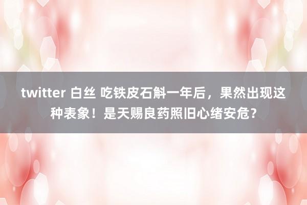 twitter 白丝 吃铁皮石斛一年后，果然出现这种表象！是天赐良药照旧心绪安危？