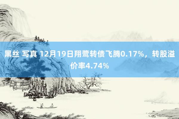 黑丝 写真 12月19日翔鹭转债飞腾0.17%，转股溢价率4.74%