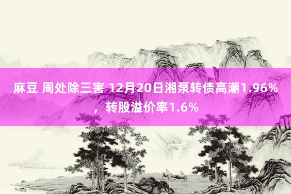 麻豆 周处除三害 12月20日湘泵转债高潮1.96%，转股溢价率1.6%