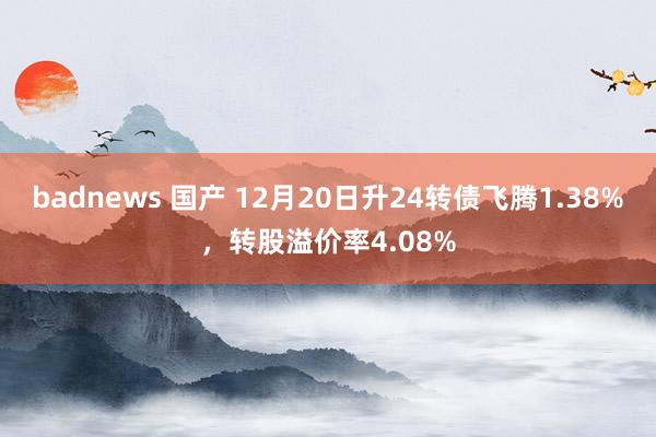 badnews 国产 12月20日升24转债飞腾1.38%，转股溢价率4.08%