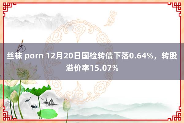 丝袜 porn 12月20日国检转债下落0.64%，转股溢价率15.07%