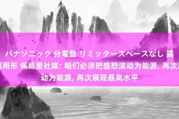 パナソニック 分電盤 リミッタースペースなし 露出・半埋込両用形 佩德里社媒: 咱们必须把盛怒滚动为能源， 再次展现最高水平