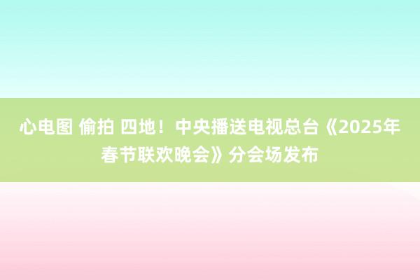 心电图 偷拍 四地！中央播送电视总台《2025年春节联欢晚会》分会场发布