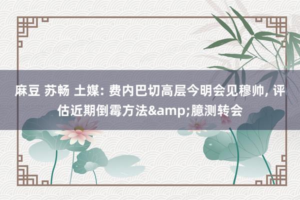 麻豆 苏畅 土媒: 费内巴切高层今明会见穆帅， 评估近期倒霉方法&臆测转会