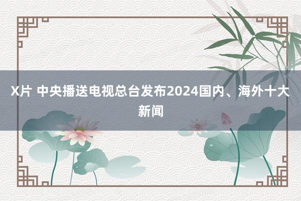 X片 中央播送电视总台发布2024国内、海外十大新闻