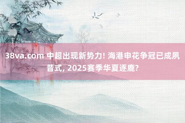 38va.com 中超出现新势力! 海港申花争冠已成夙昔式， 2025赛季华夏逐鹿?