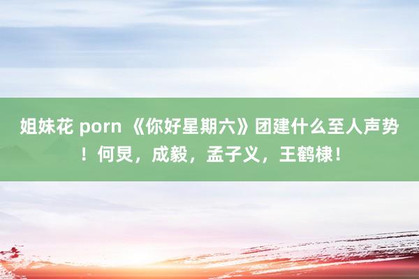 姐妹花 porn 《你好星期六》团建什么至人声势！何炅，成毅，孟子义，王鹤棣！