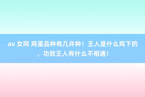 av 女同 鸡蛋品种有几许种！王人是什么鸡下的，功效王人有什么不相通！