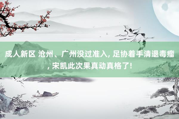 成人新区 沧州、广州没过准入， 足协着手清退毒瘤， 宋凯此次果真动真格了!