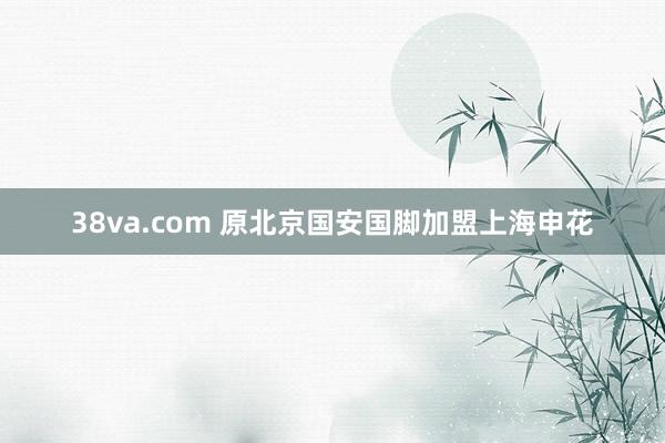 38va.com 原北京国安国脚加盟上海申花