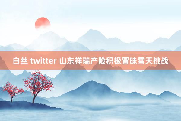 白丝 twitter 山东祥瑞产险积极冒昧雪天挑战