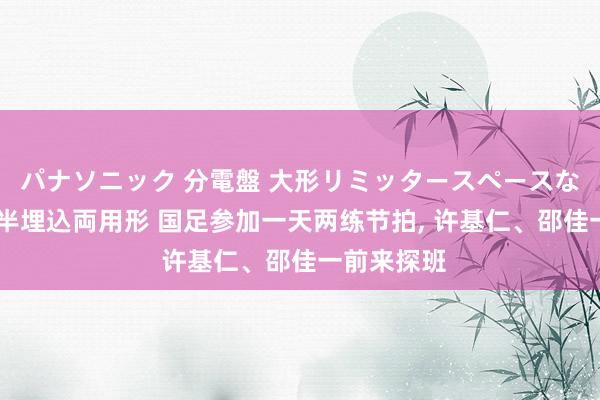 パナソニック 分電盤 大形リミッタースペースなし 露出・半埋込両用形 国足参加一天两练节拍， 许基仁、邵佳一前来探班