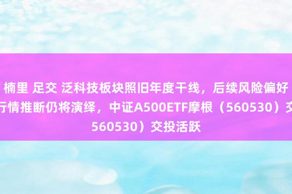楠里 足交 泛科技板块照旧年度干线，后续风险偏好回暖后行情推断仍将演绎，中证A500ETF摩根（560530）交投活跃
