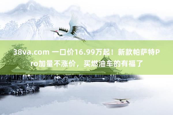 38va.com 一口价16.99万起！新款帕萨特Pro加量不涨价，买燃油车的有福了