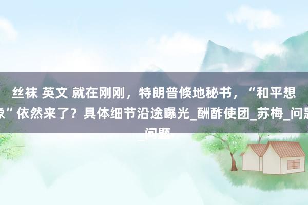 丝袜 英文 就在刚刚，特朗普倏地秘书，“和平想象”依然来了？具体细节沿途曝光_酬酢使团_苏梅_问题