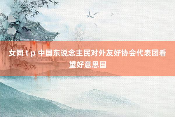 女同 t p 中国东说念主民对外友好协会代表团看望好意思国